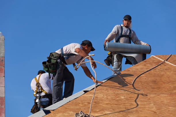 Best Storm Damage Roof Repair  in Mantachie, MS