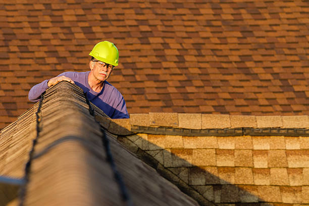 Best Roof Gutter Cleaning  in Mantachie, MS